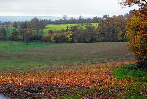 automne en Normandie